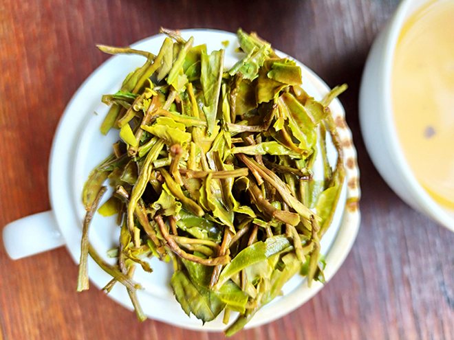 Příprava čaje Darjeeling - spařené čajové lístky