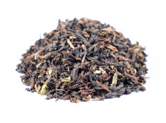 Darjeeling Phuguri Autumnal 2024